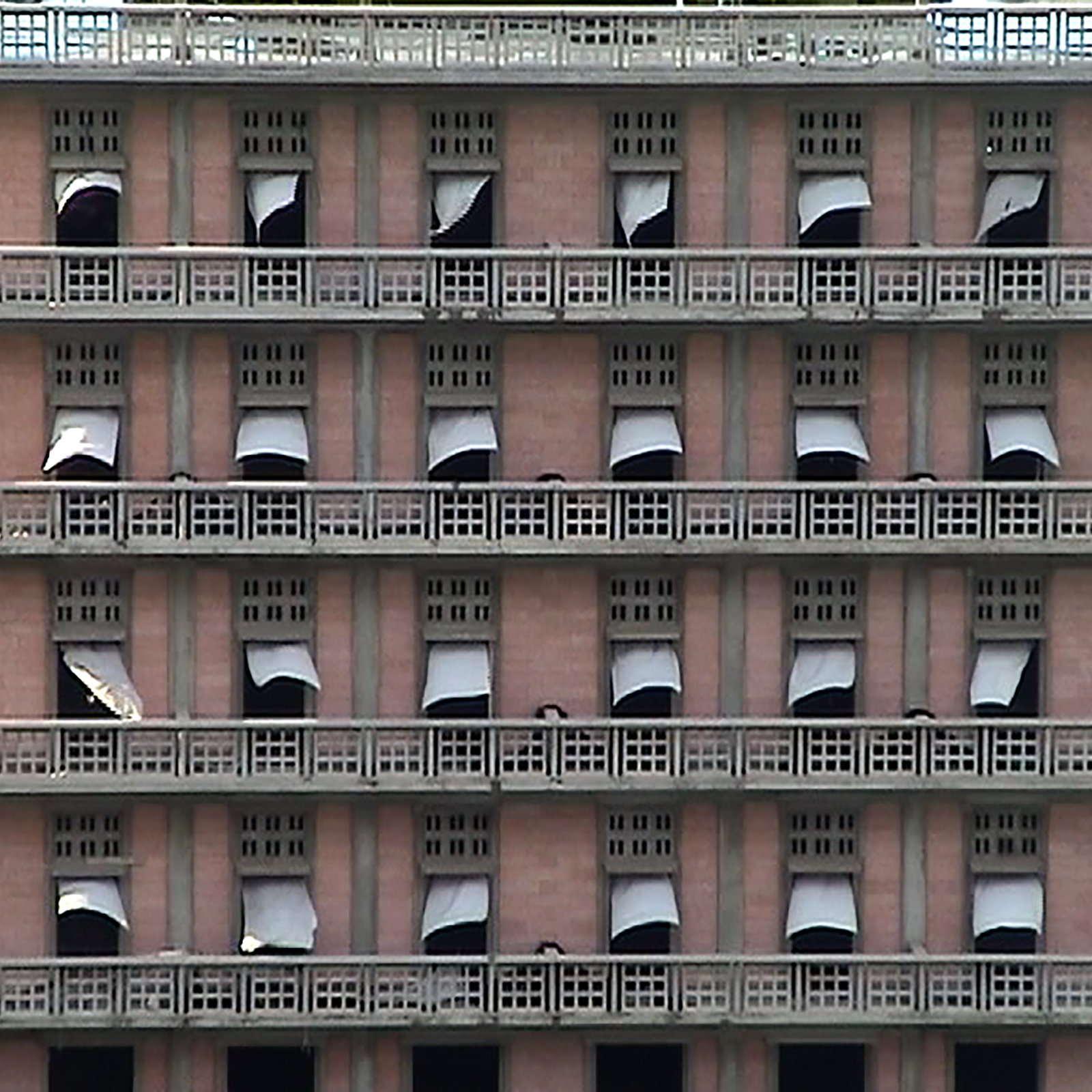 HALE TENGER / BORDERS / BORDERS