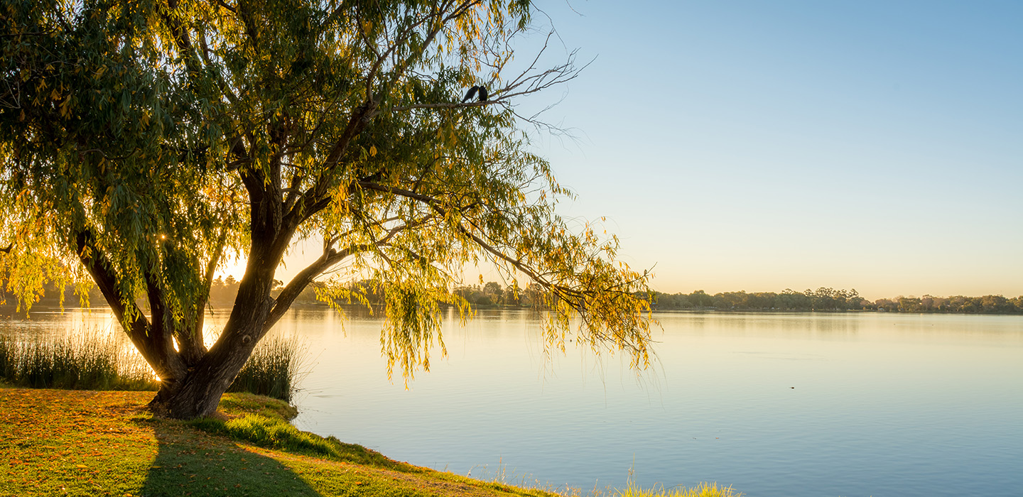 Exhibitions on Screen | Bunuru