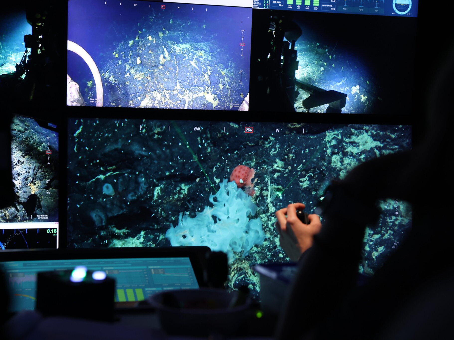 OceanXplorer Live Cross