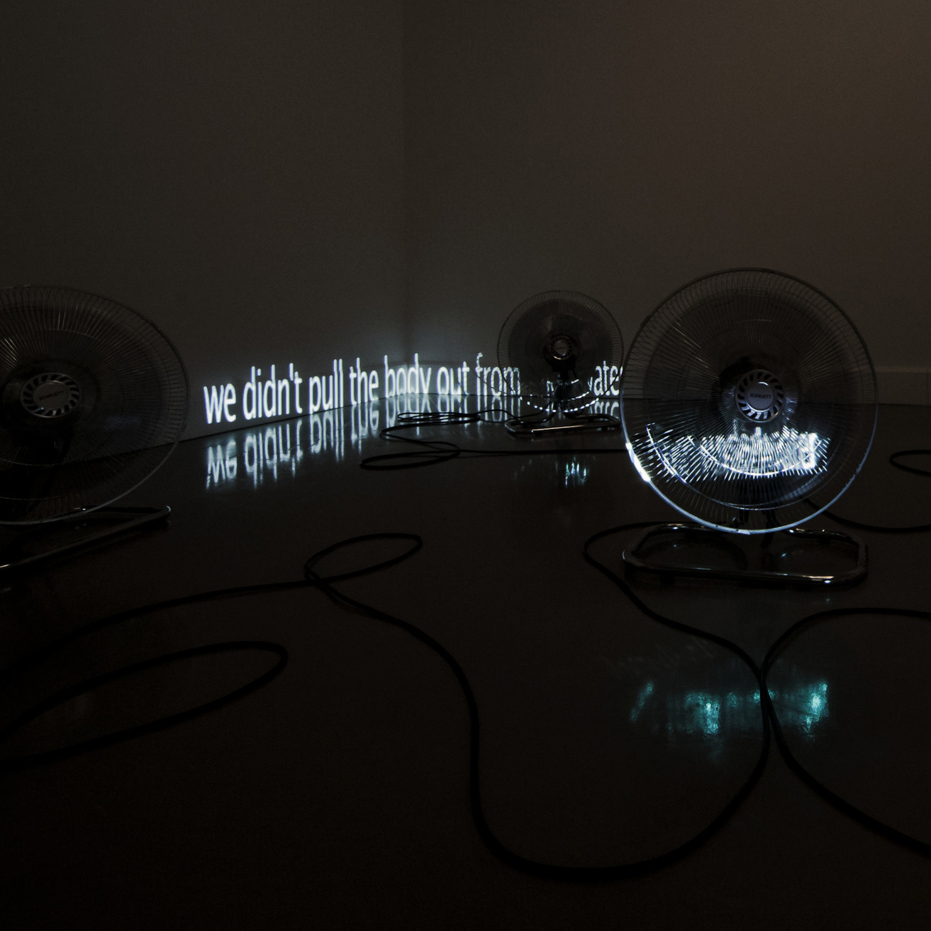 HALE TENGER / BORDERS / BORDERS