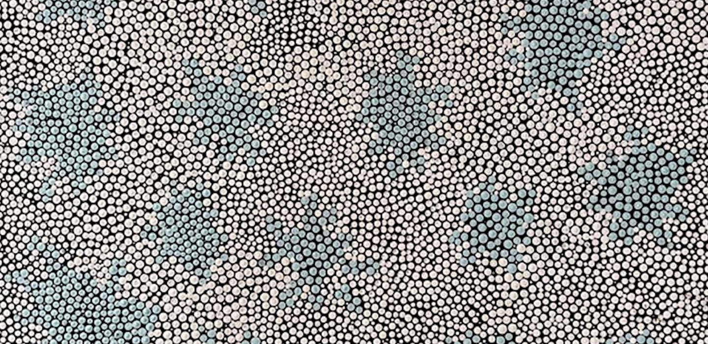 GOOLOGOOLUP NAIDOC SCREENINGS | NINUKU ARTS