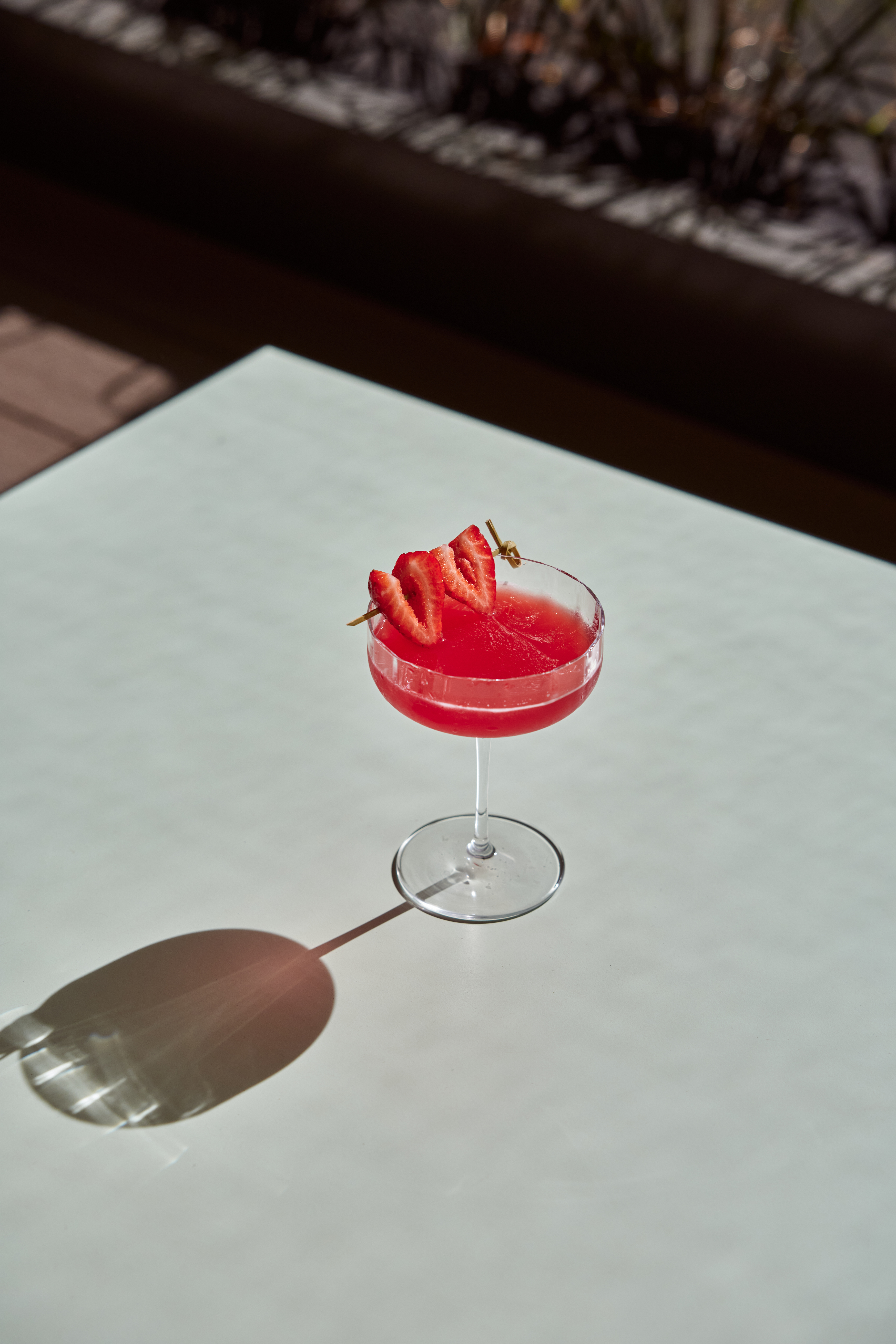 Terrace Tipples: Bottomless Dinner in the CBD