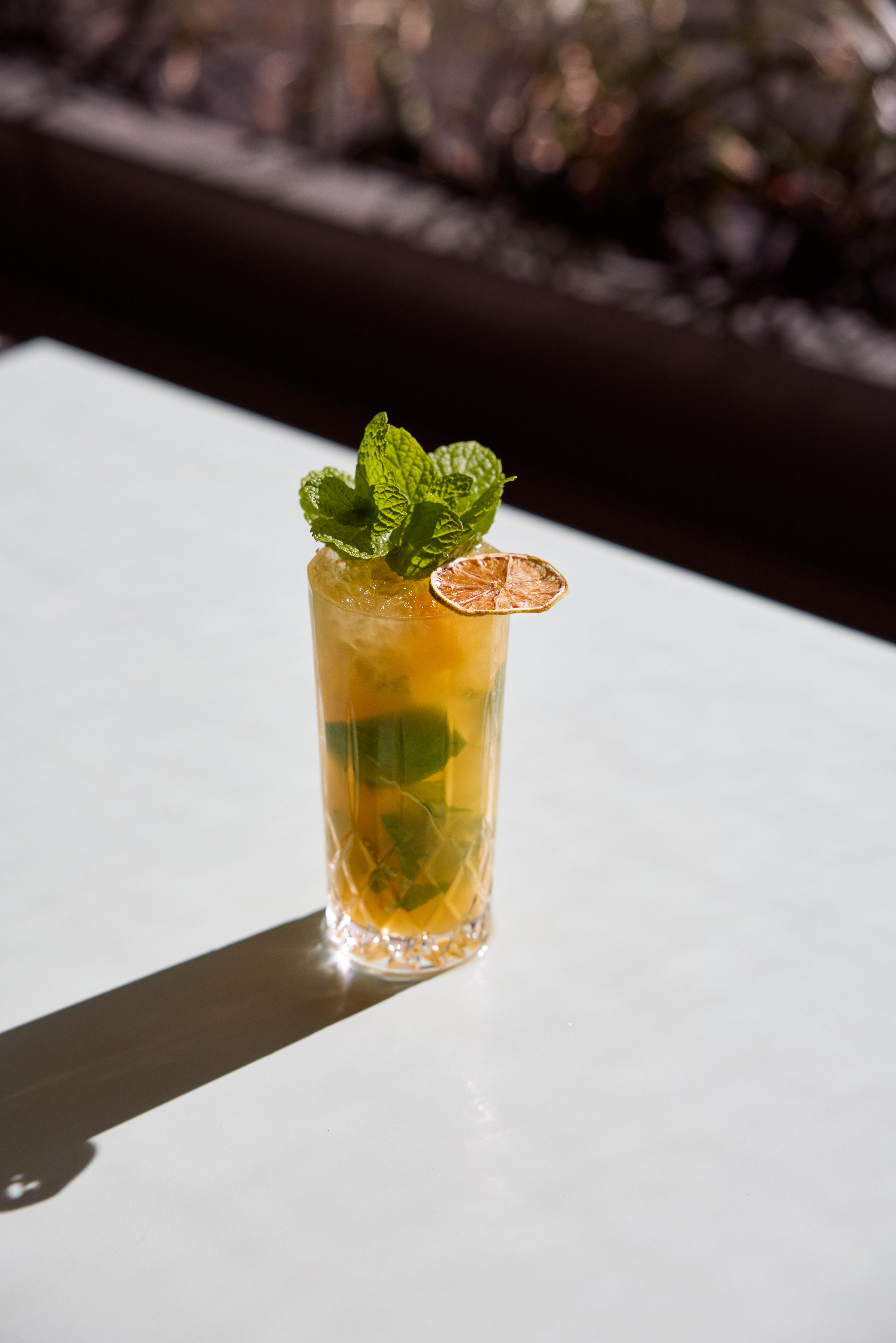 Terrace Tipples: Bottomless Dinner in the CBD