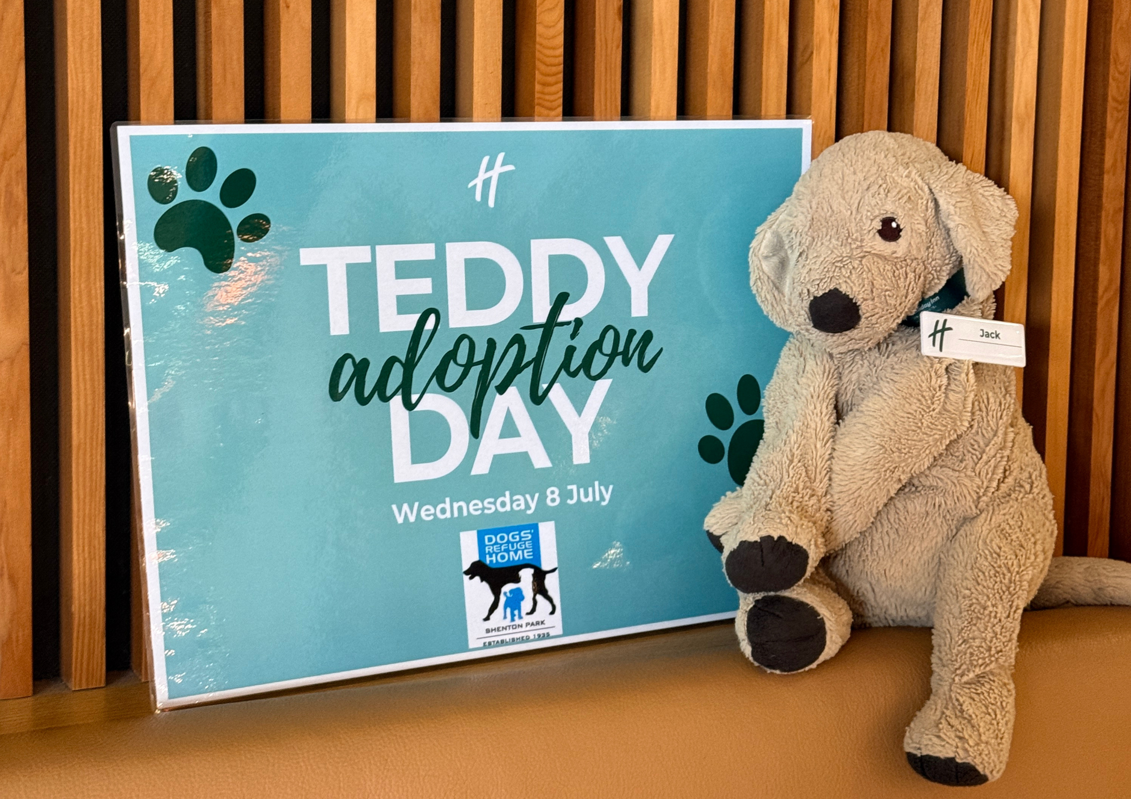 Teddy Adoption Day