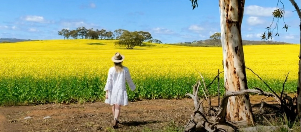 Perth Wildflower Spring Tour 2026