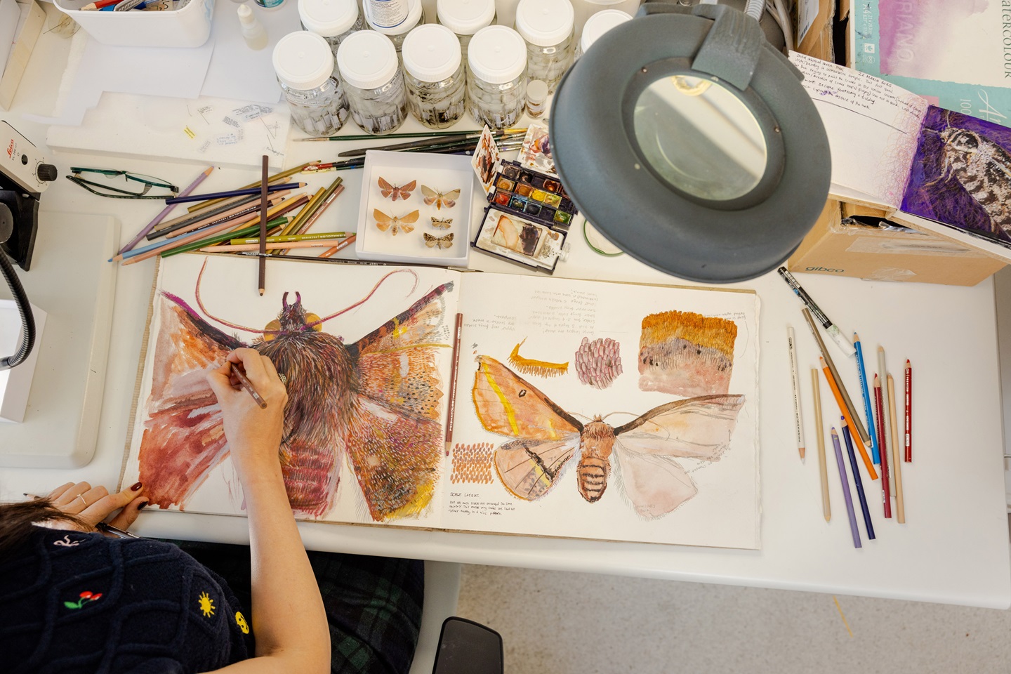 Meet the Museum: Collections, Creativity & Conservation