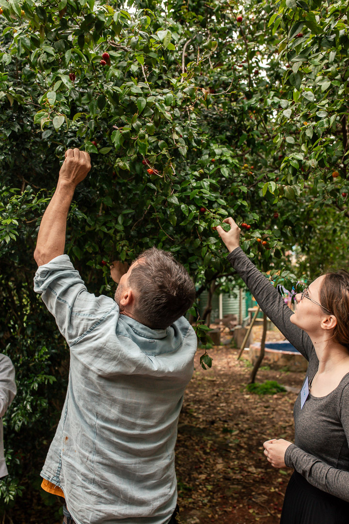 Permaculture Design Course at Perth City Farm