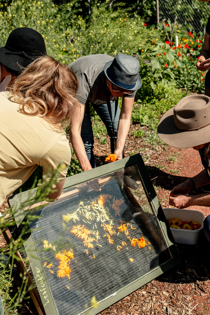 Permaculture Design Course at Perth City Farm