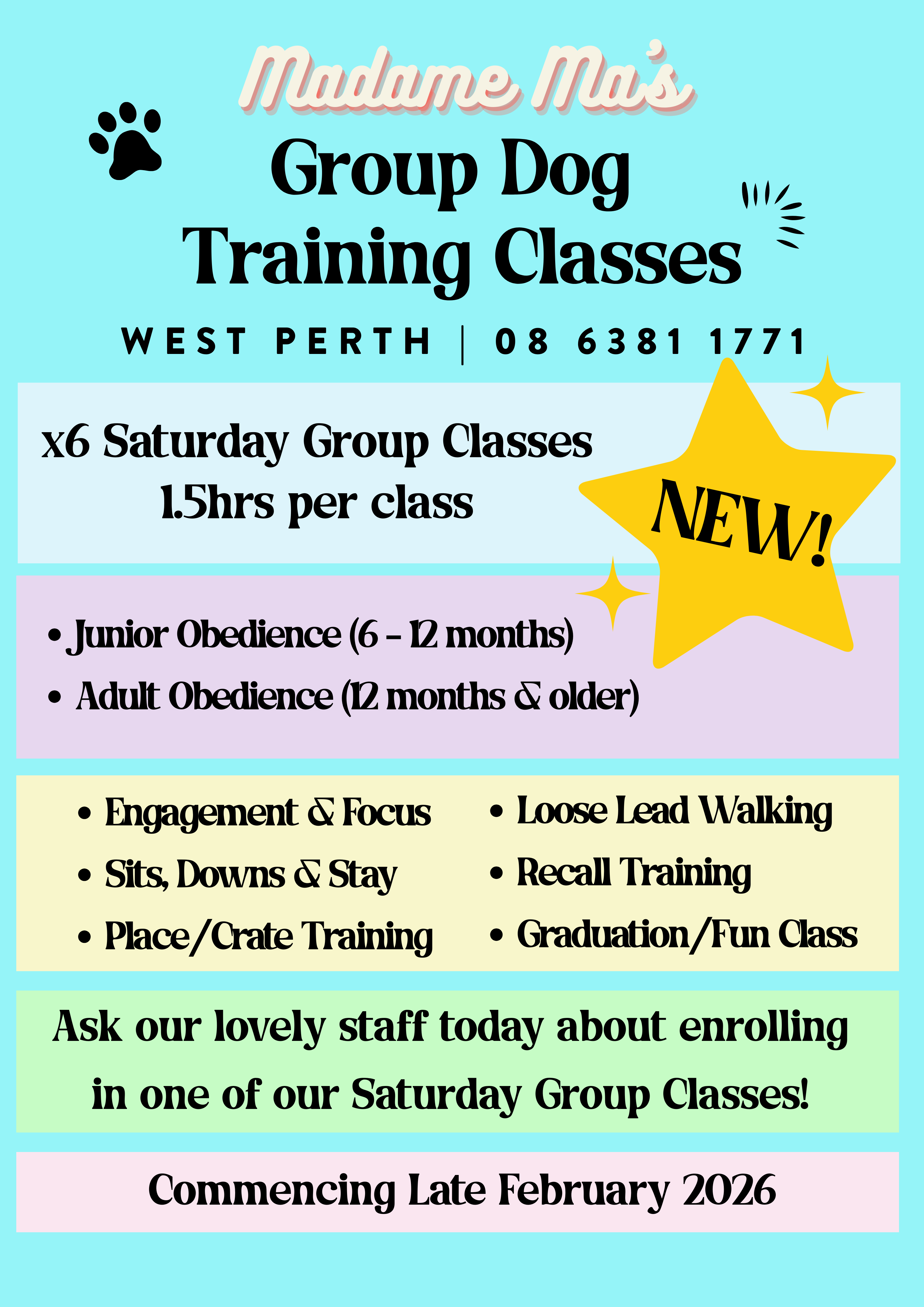 Saturday Group Dog Training Classes