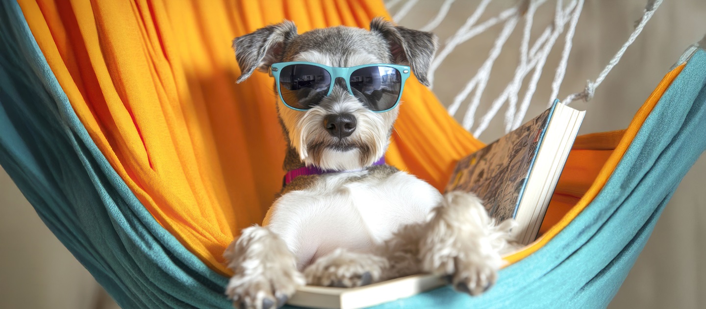 Dog wearing sunglasses, sitting in a hammock with an open book.  