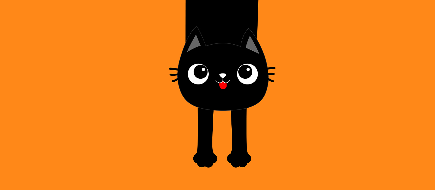 Graphic illustration of a black cat on an orange background, with paws outstretched, looking up.