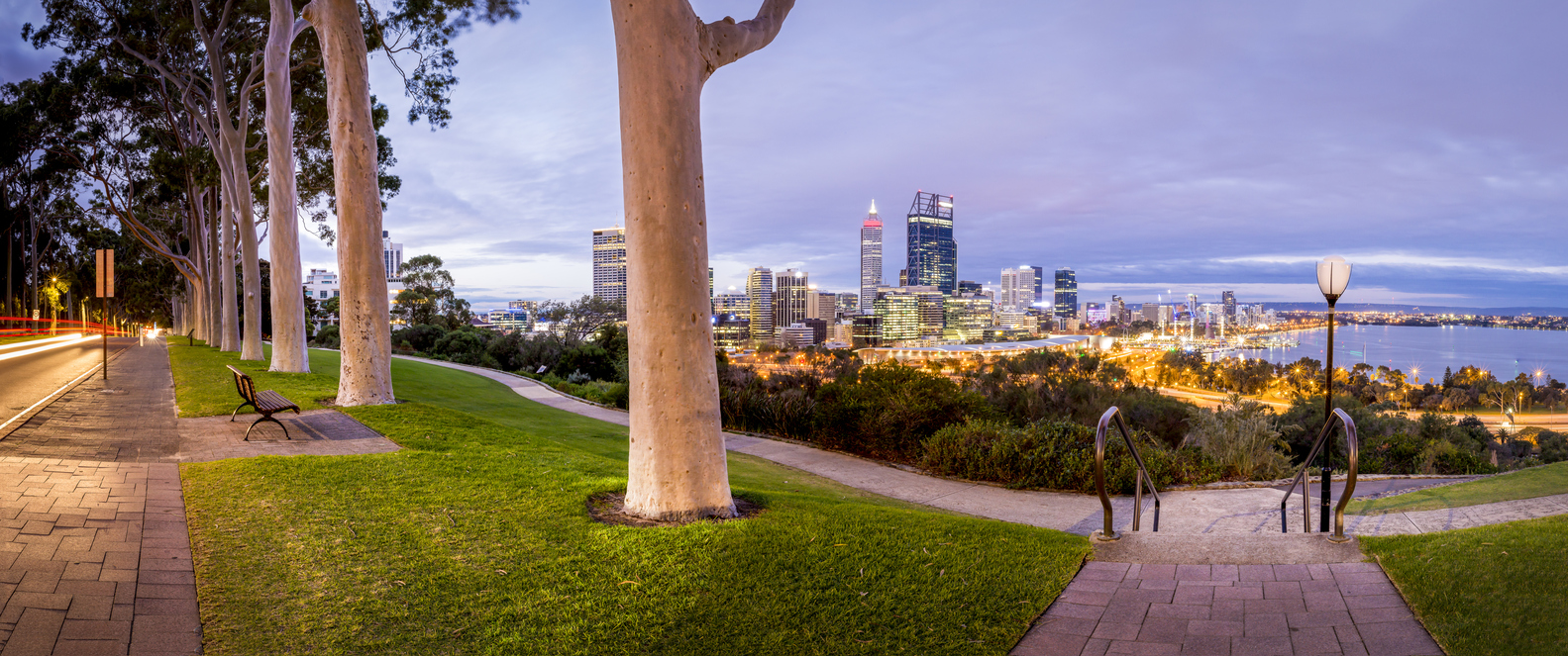 View of the city a night from Kings Park