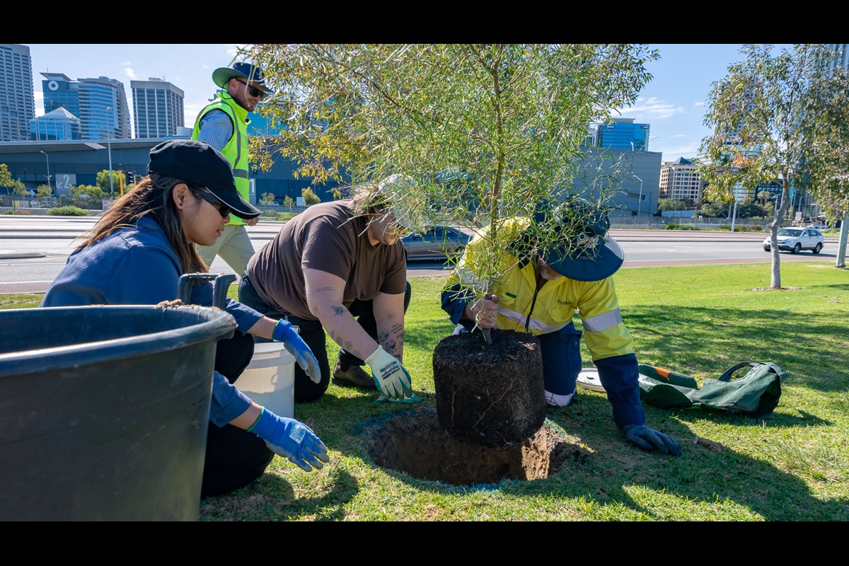 Official Visitor Website of the City of Perth | Visit Perth