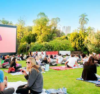 summer cinema experiences