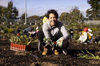 Tree Month