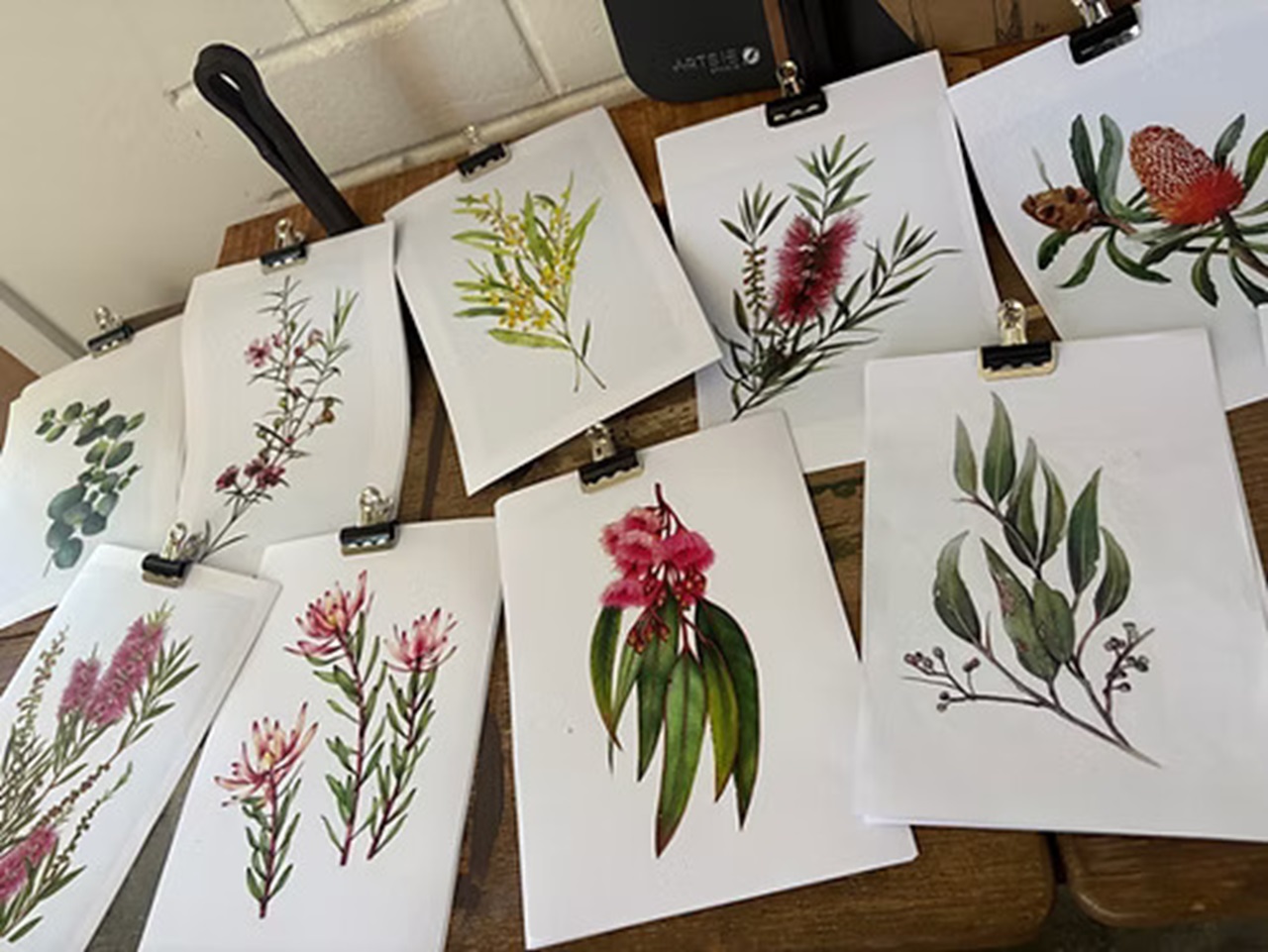 Botanical Watercolours (1)