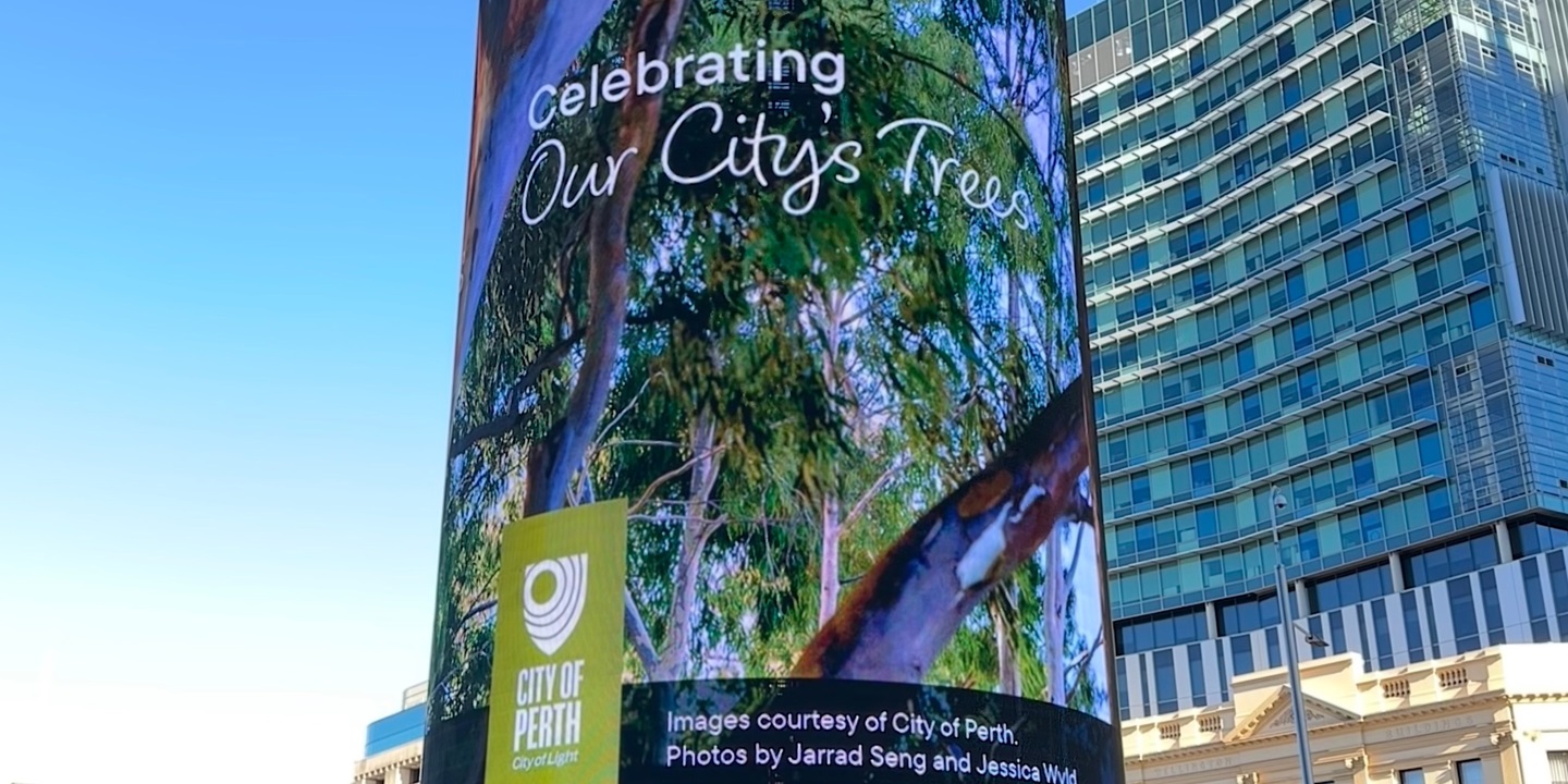 WA Tree Festival 2025 digital photography exhibition