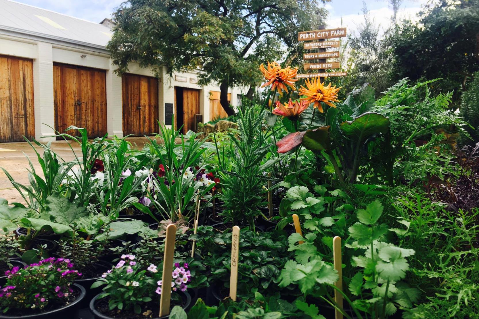 Perth City Farm