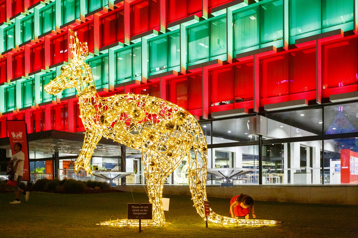 Xmas Lights Trail Kangaroo