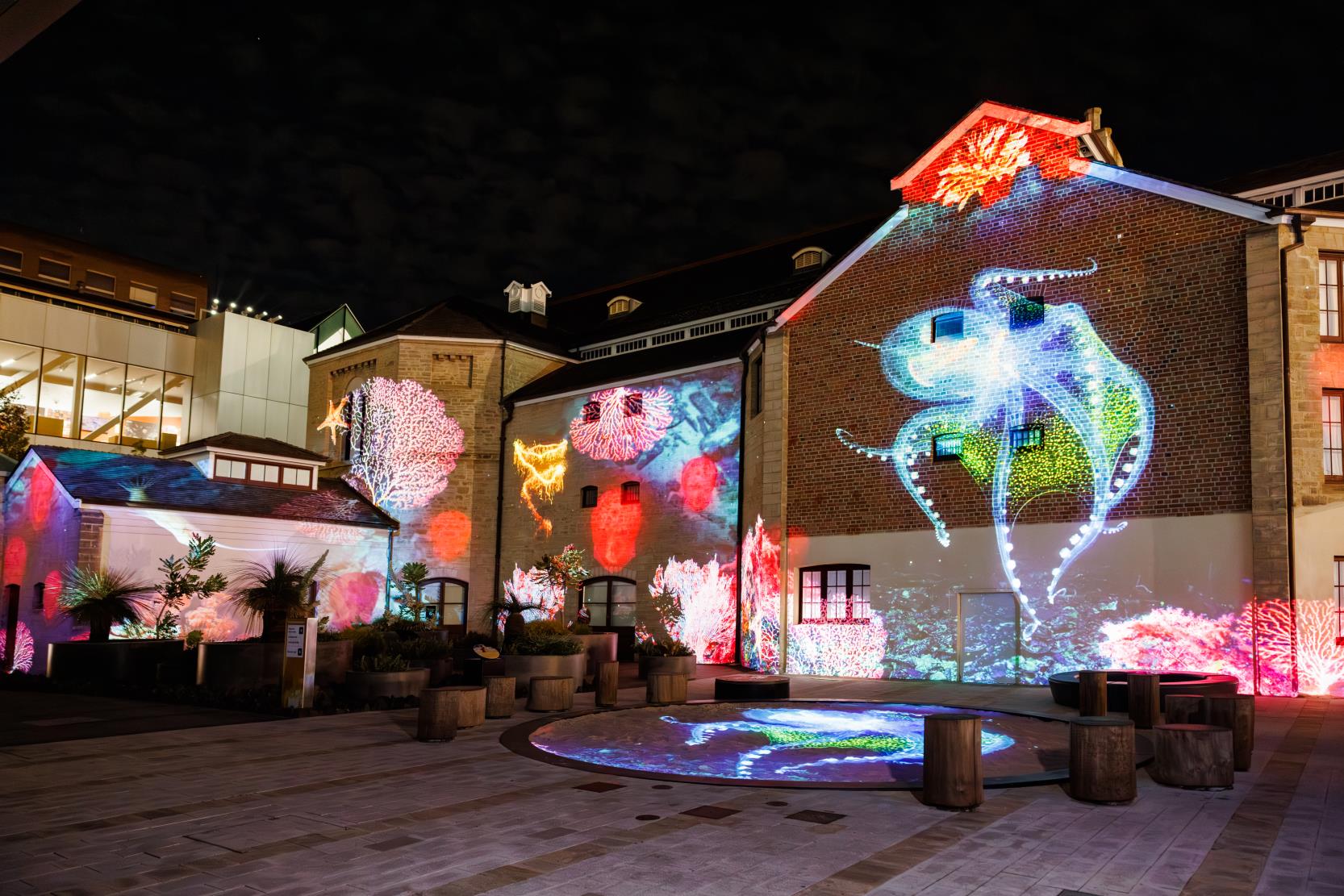 illuminate ocean xperience projections wa museum boola bardip