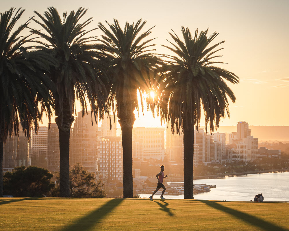 Jogger Kings Park Dawn
