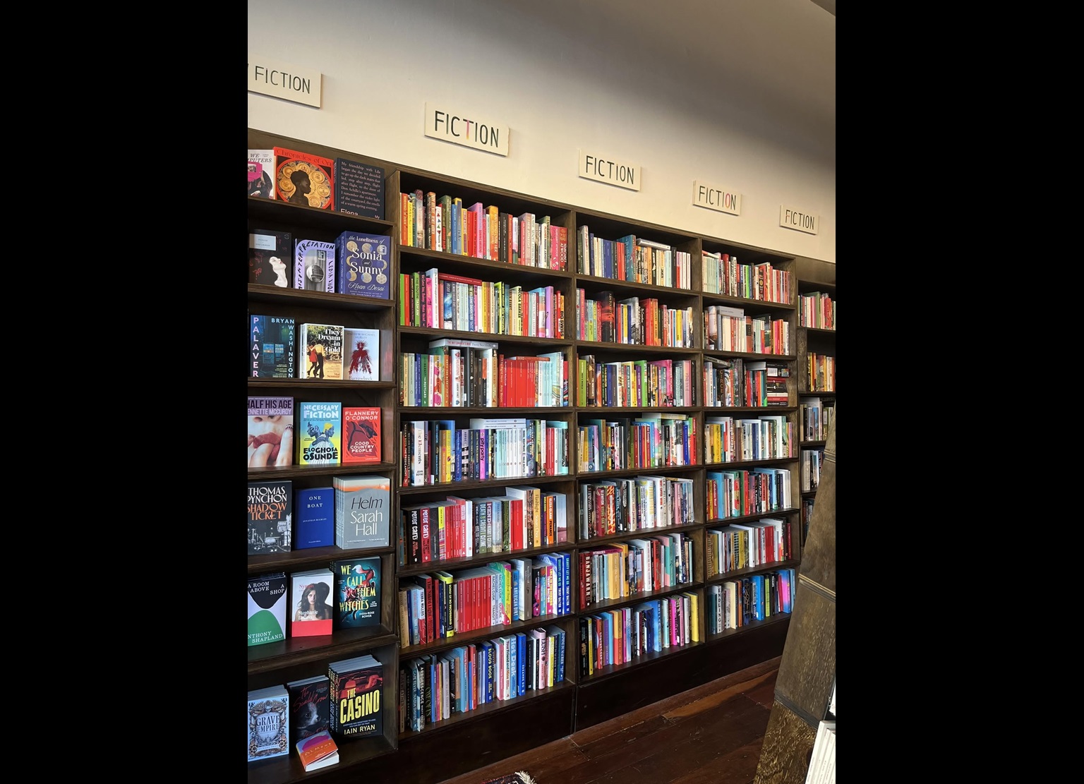 shelves of books at pigface bookstore