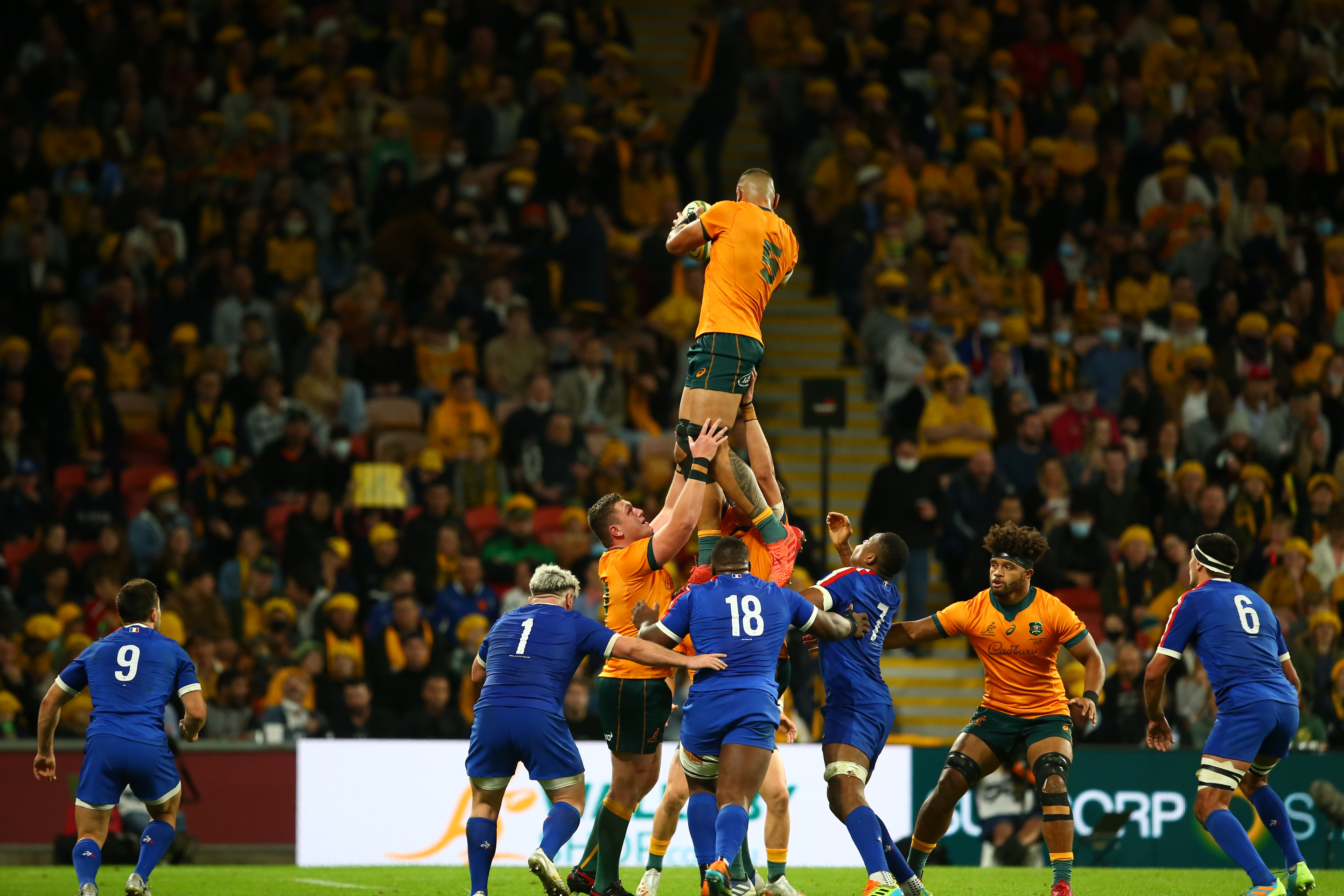 wallabies v france