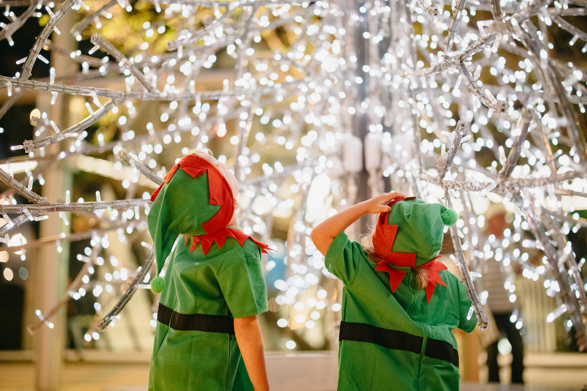 Christmas Lights Trail