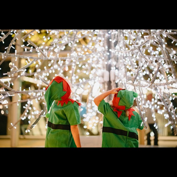 Christmas Lights Trail