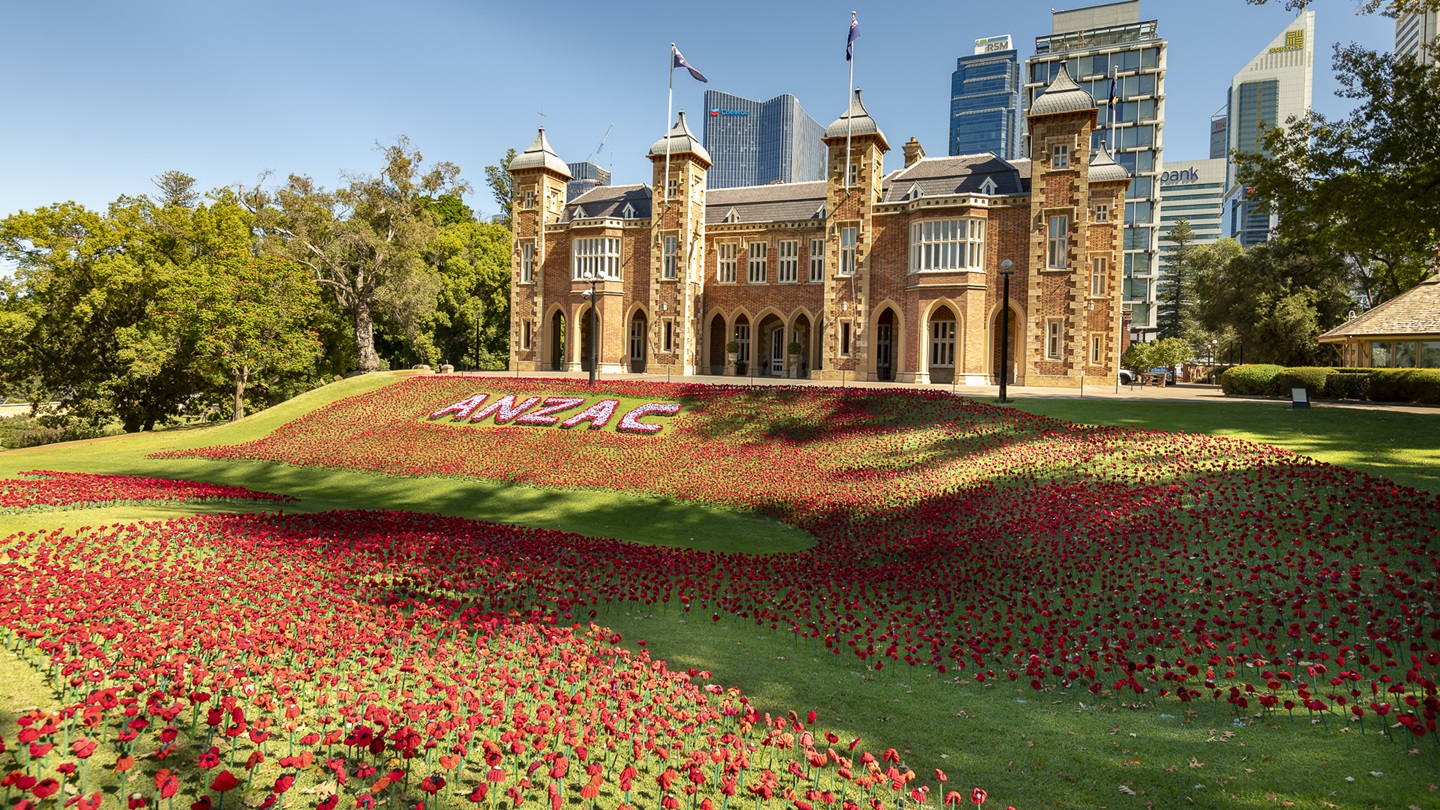Poppies at Government House