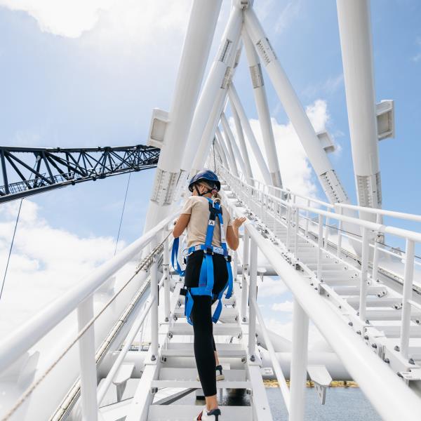 Matagarup Zip Climb