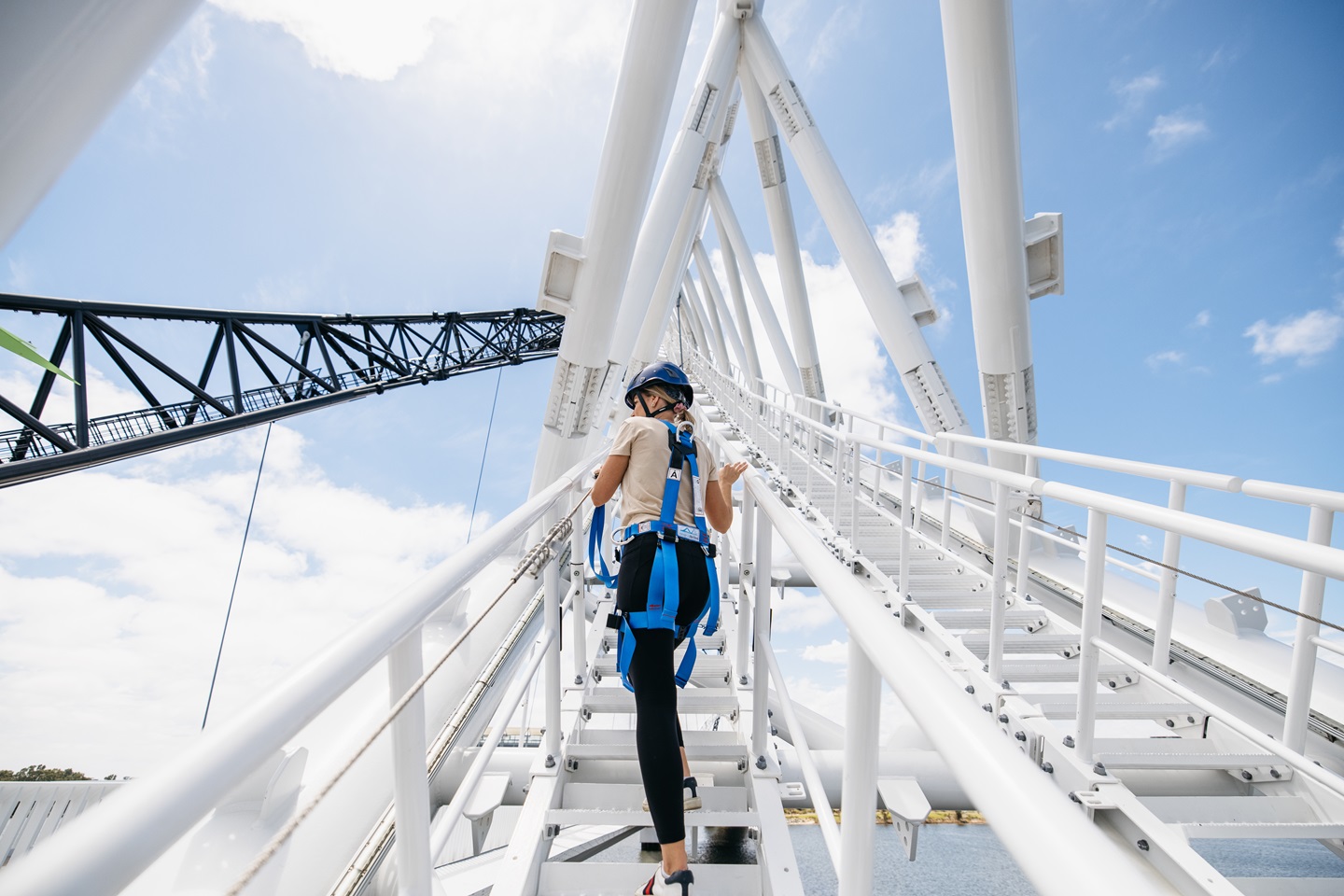 Matagarup Zip Climb