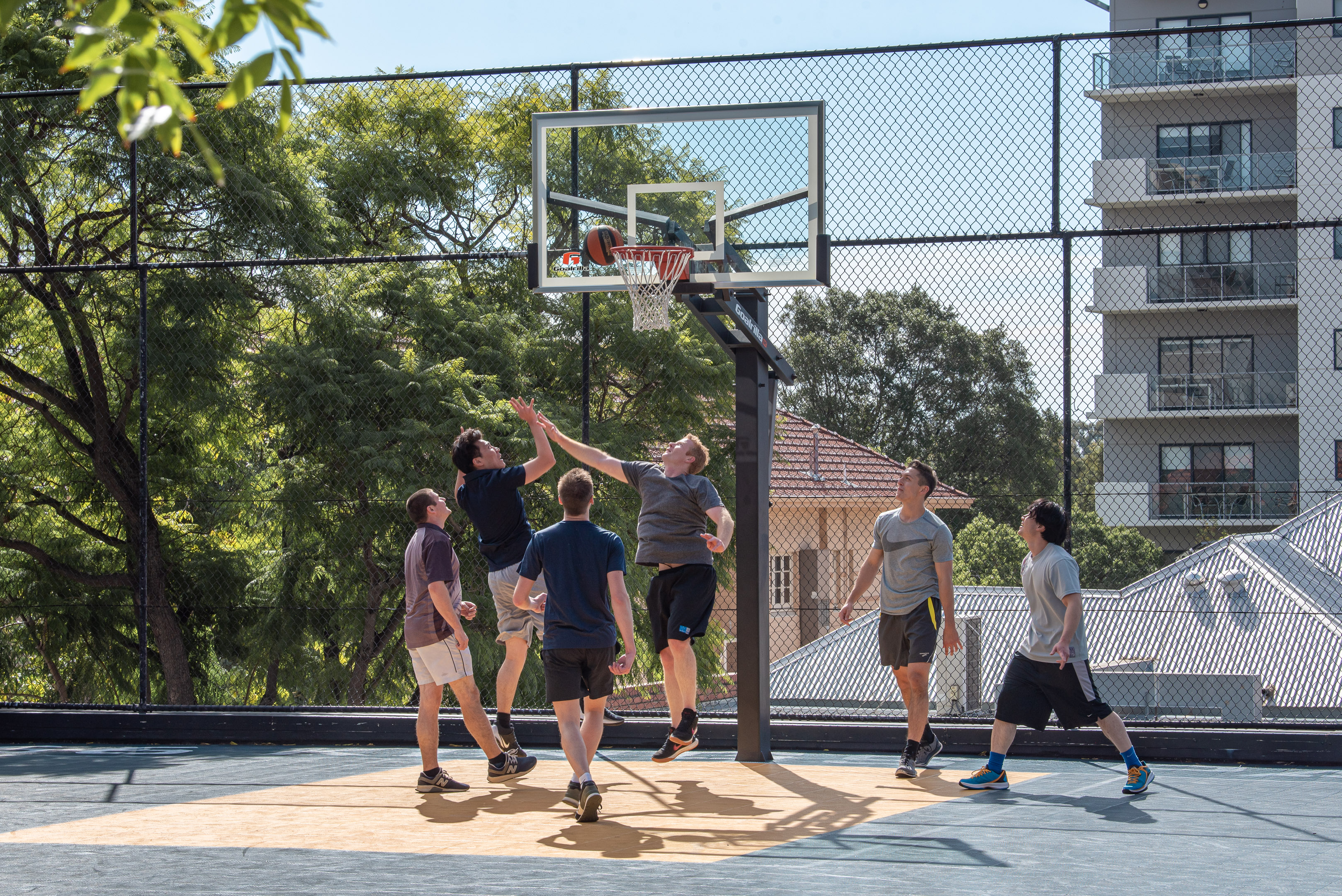 Donnie Taco basketball area