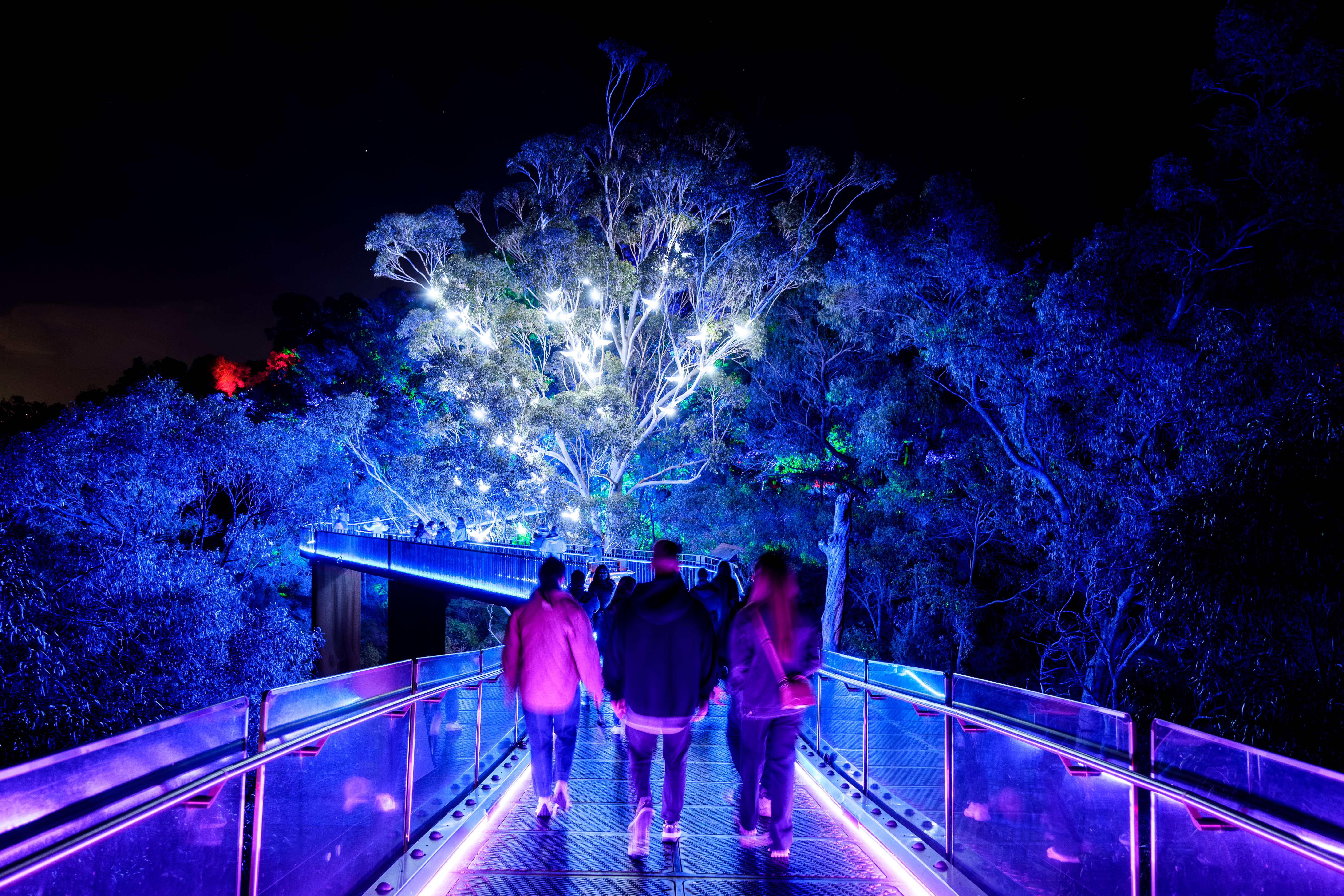 Lightscape 2023