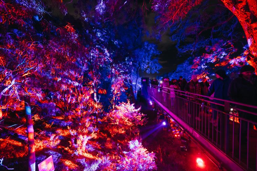 Lightscape 2023 Jarrad Seng