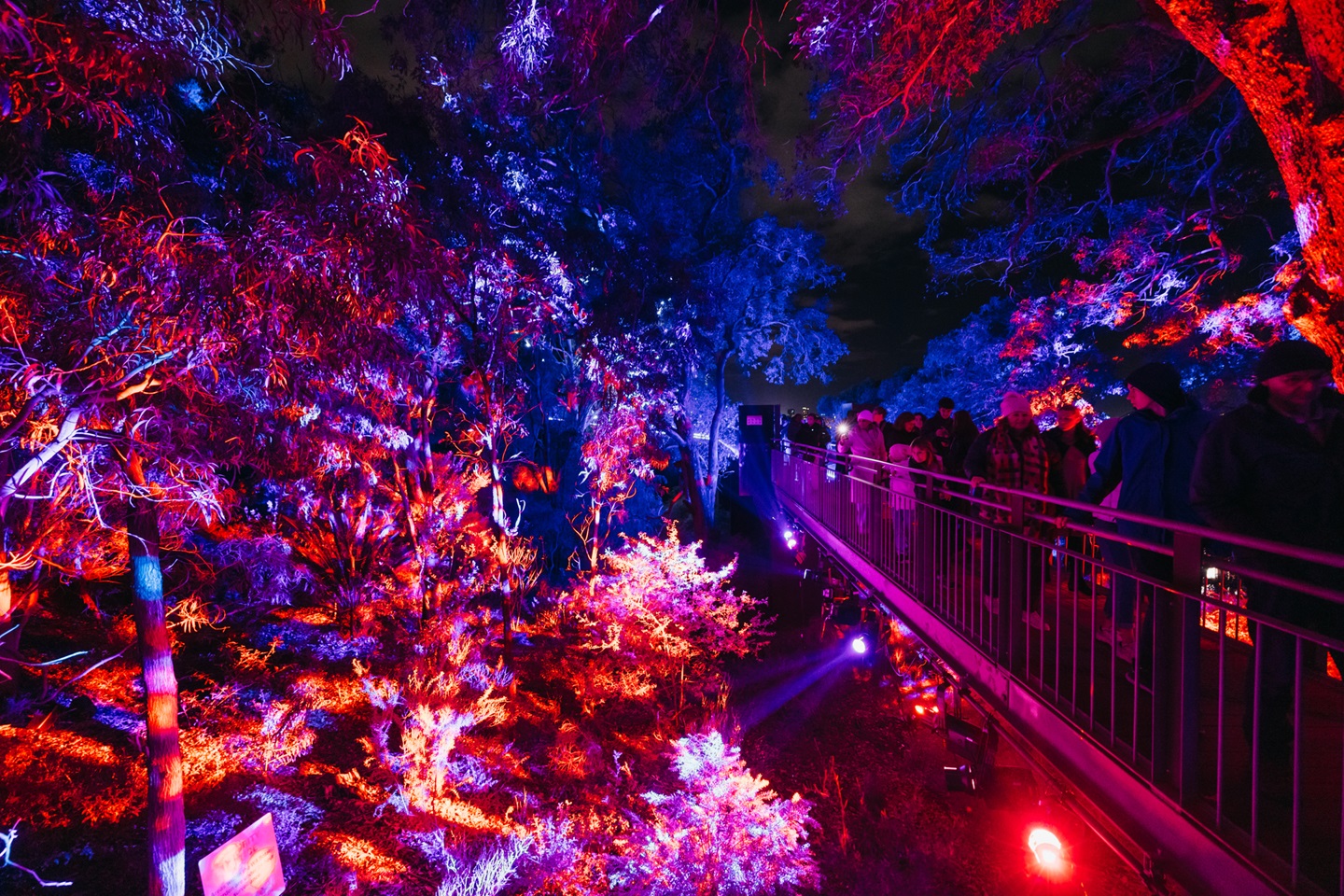 Lightscape 2023 Jarrad Seng