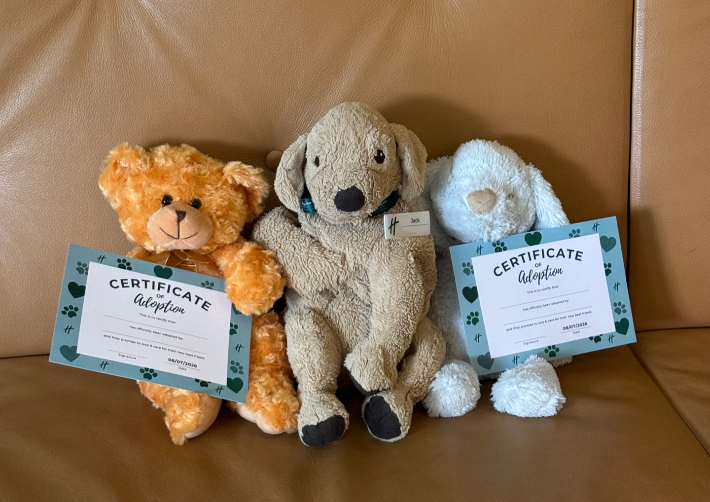 Teddy Adoption Day July 2026