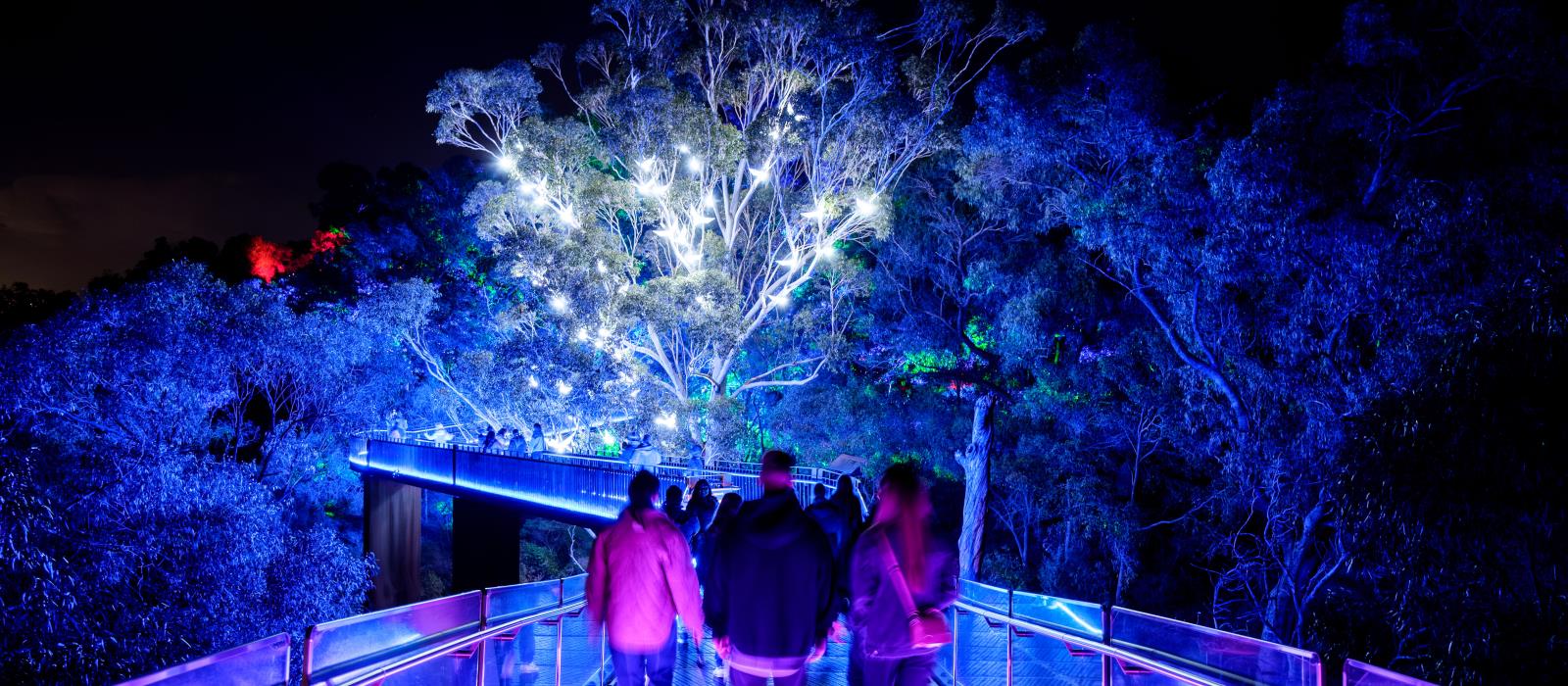 Lightscape 2023