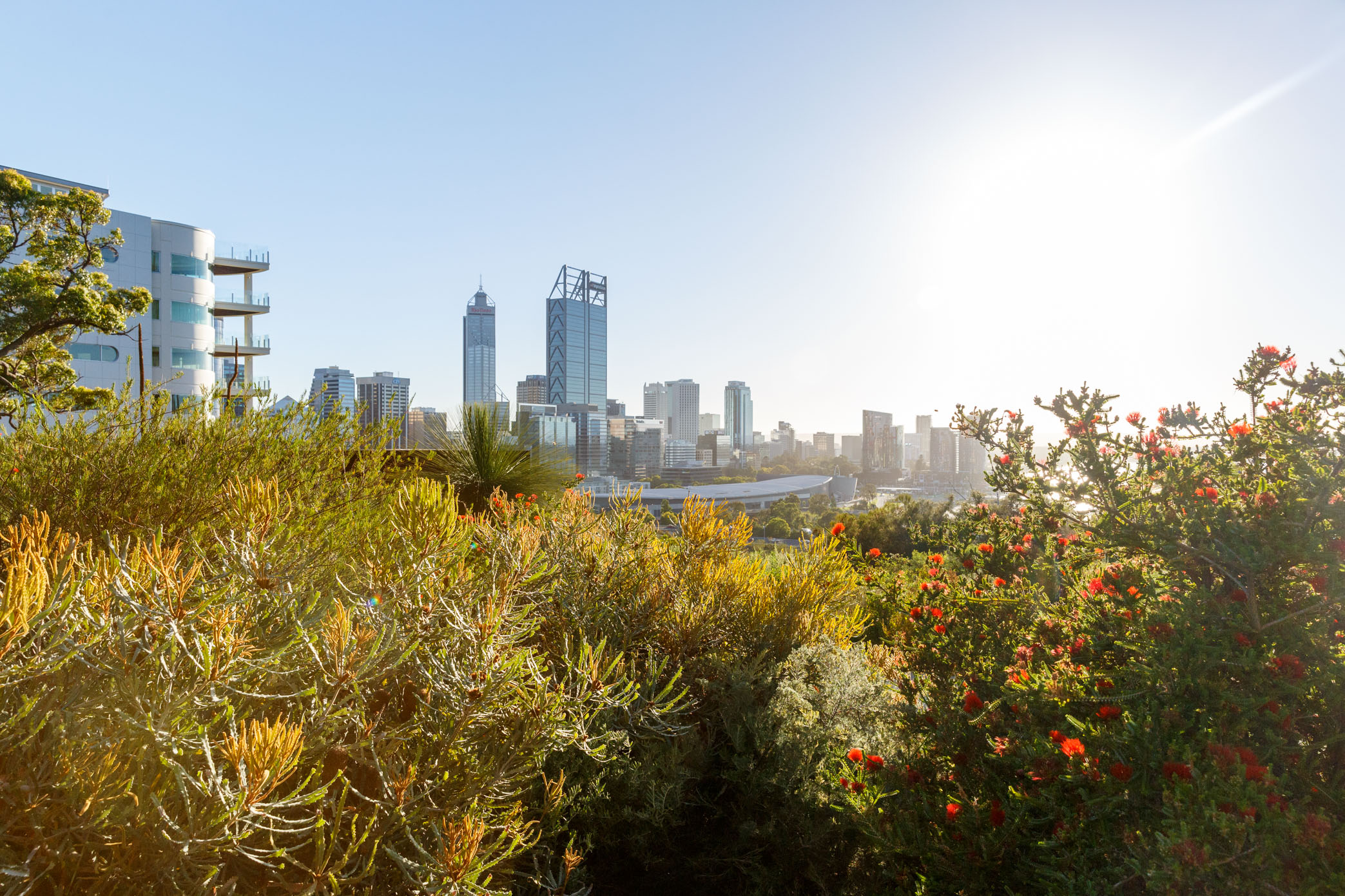 Kings Park with plants