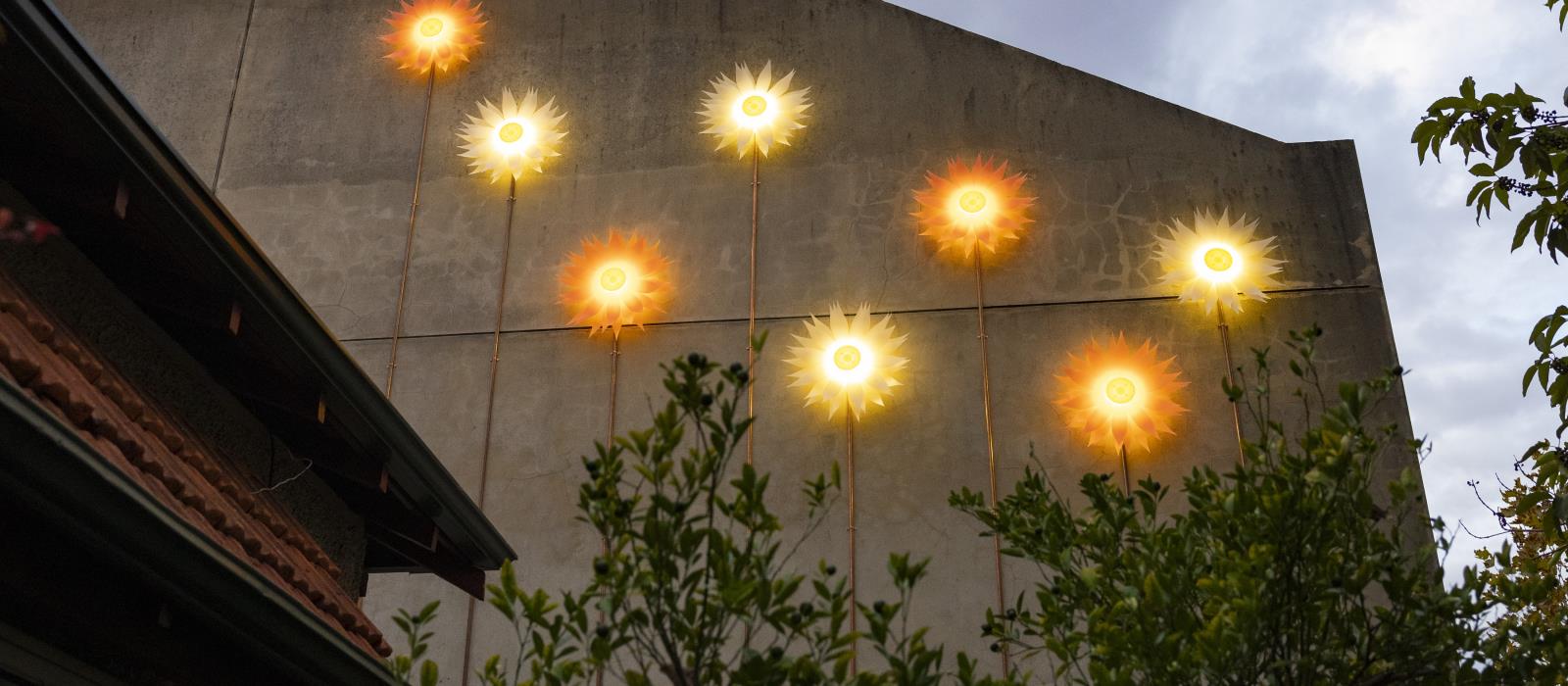 Everlastings light installation Colin Street West Perth