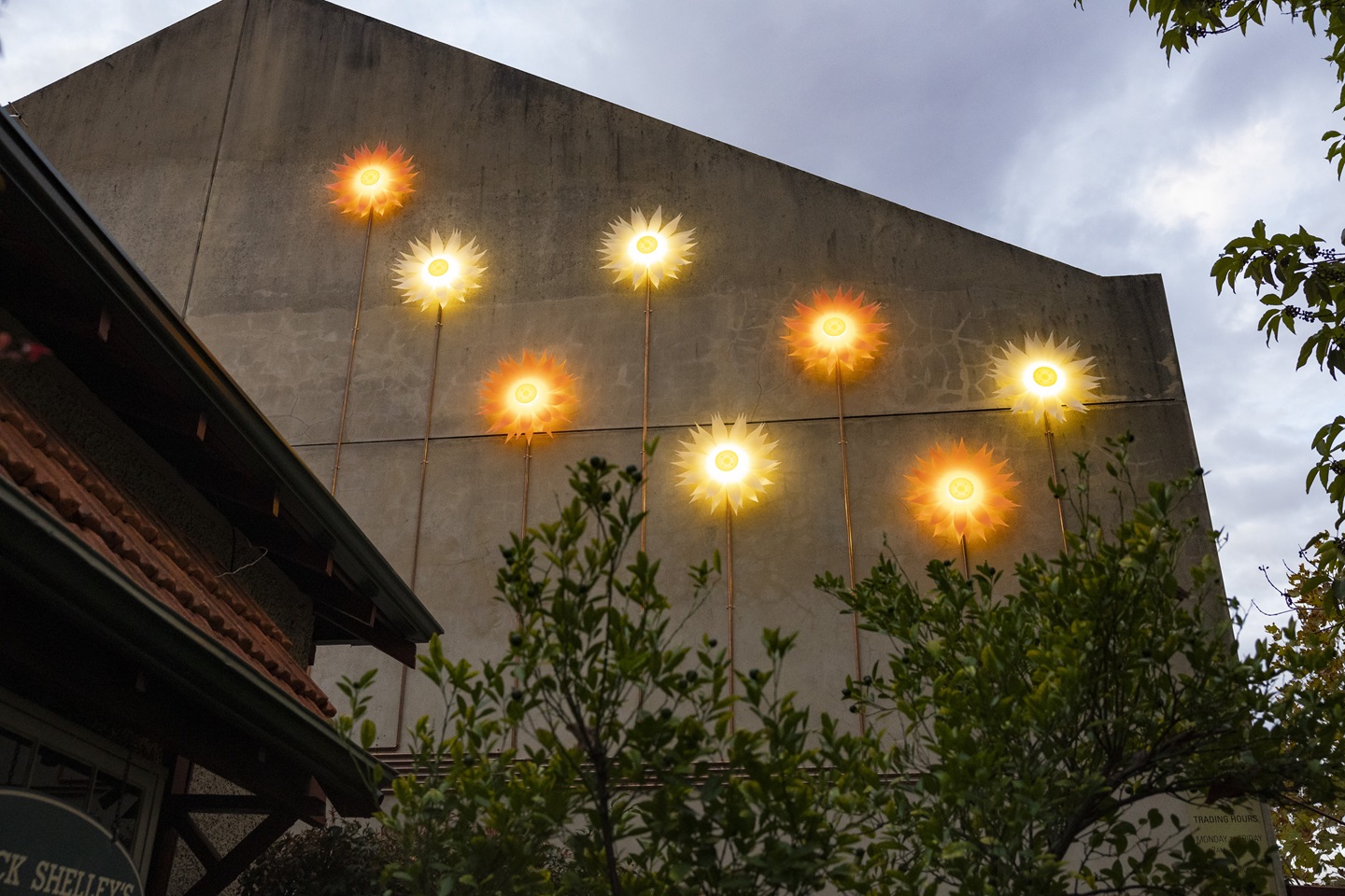 Everlastings light installation Colin Street West Perth