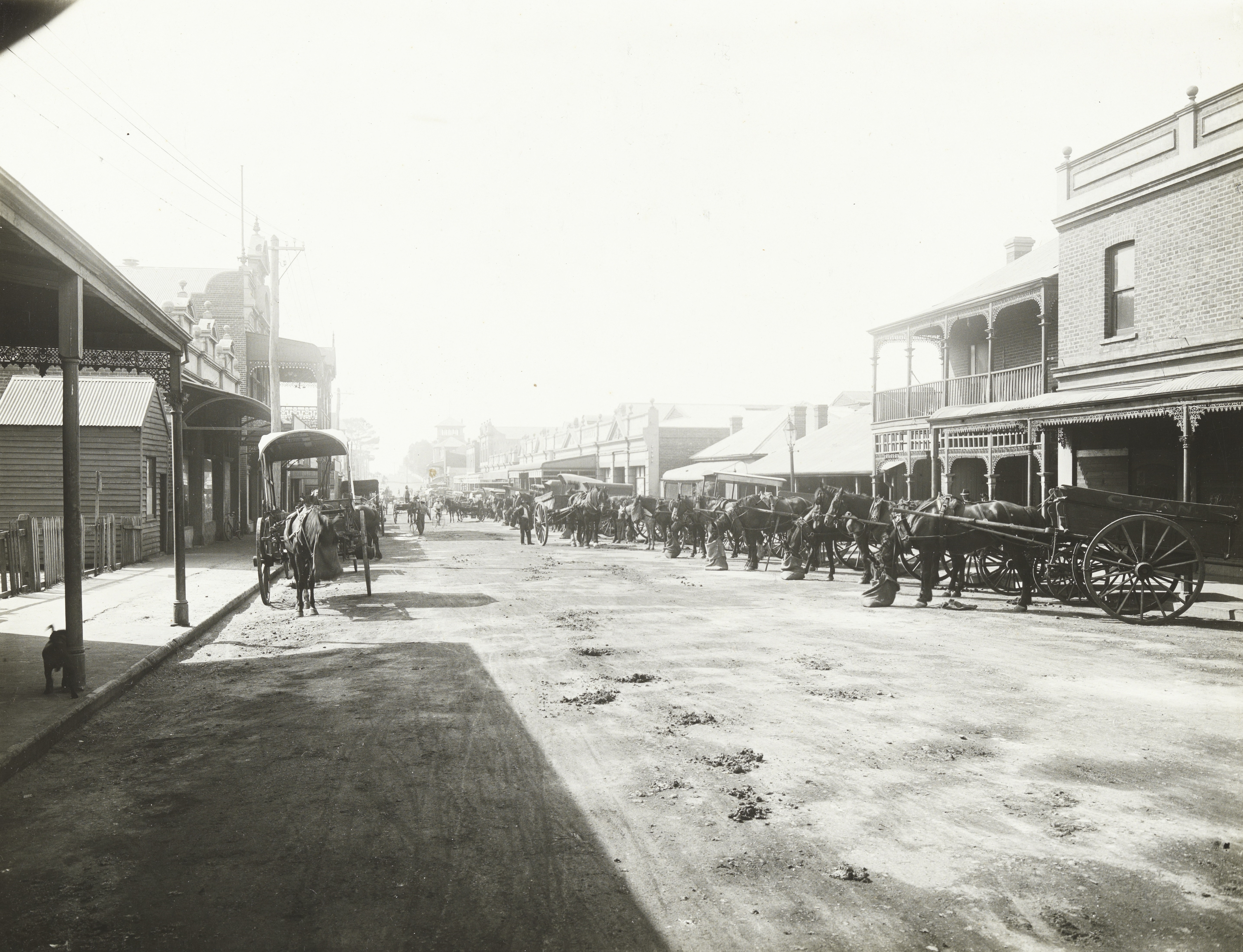 Living Northbridge Hop Hing and Co