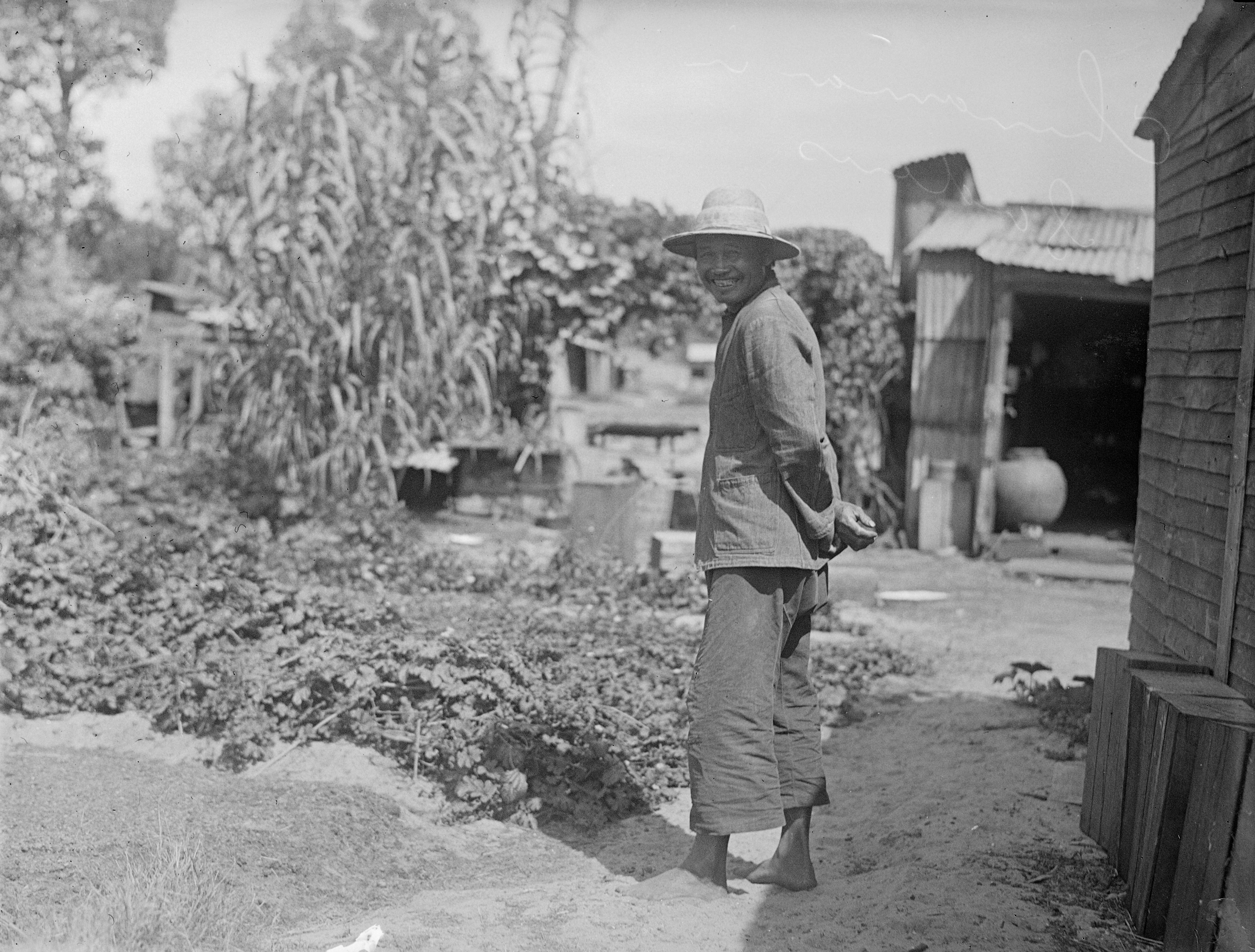 Living Northbridge Hop Hing and Co