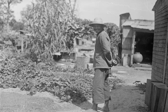 Living Northbridge Hop Hing and Co