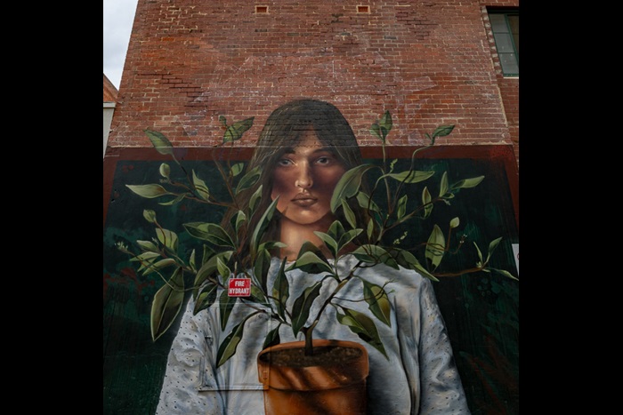 Dan Bianco mural